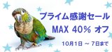 プライム感謝セール 2026 開催！