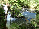 画像9: ENO FastFly Rain Tarp イノー ファストフライ ハンモック用タープ (9)