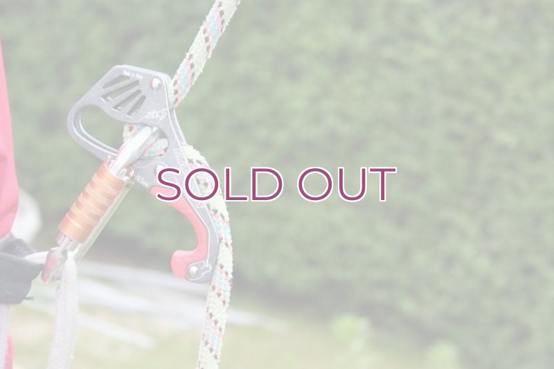 画像4: Mammut Smart  マムート スマート ビレイディバイス (4)