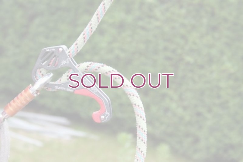 画像3: Mammut Smart  マムート スマート ビレイディバイス (3)