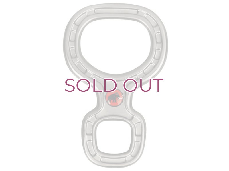 画像1: MAMMUT BIONIC8 マムート バイオニック8 エイト環 (1)