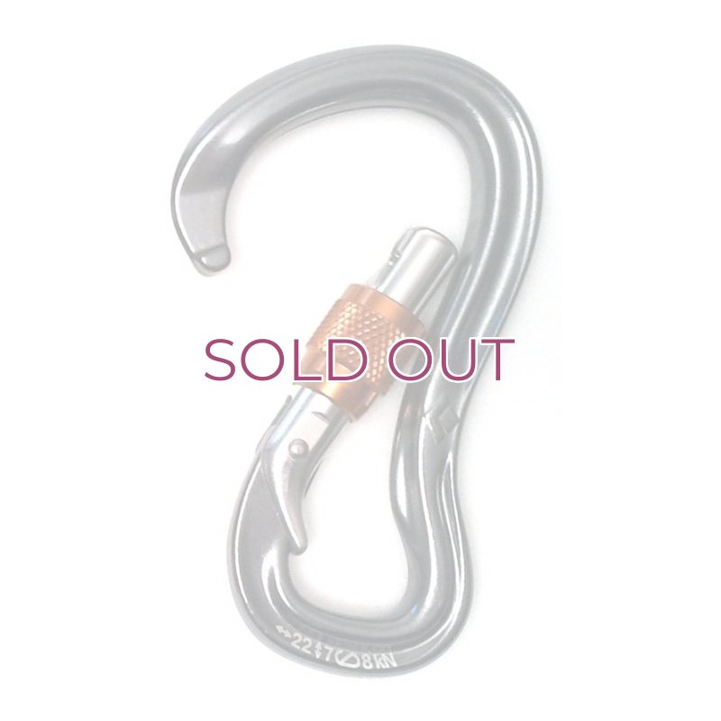 画像3: BLACK DIAMOND GRIDLOCK CARABINER  ブラックダイヤモンド グリッドロック カラビナ (3)