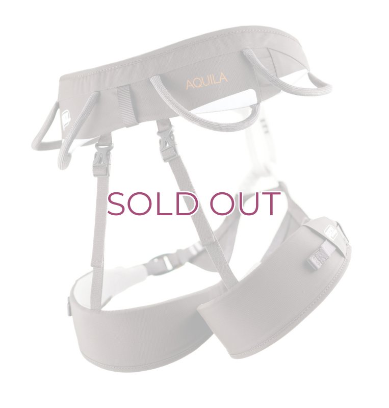 画像2: PETZL ペツル アキラ クライミング ハーネス 2015 (2)