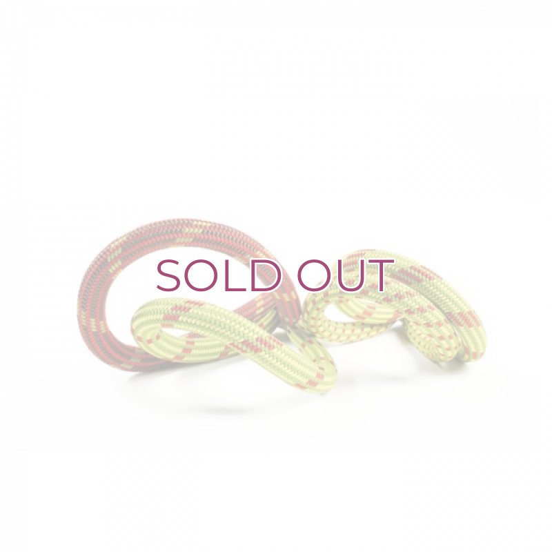 画像1: EDELWEISS エーデルワイス CURVE Unicoreカーブ ARC 9.8mm クライミング ロープ ユニコア  (1)