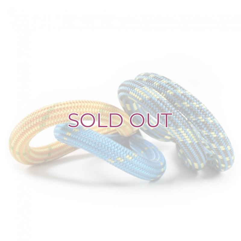 画像1: Edelweiss  エーデルワイス Energy エナジー ARC クライミング ロープ 9.5mm (1)