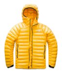 Canary Yellow