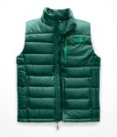 Garden Green
