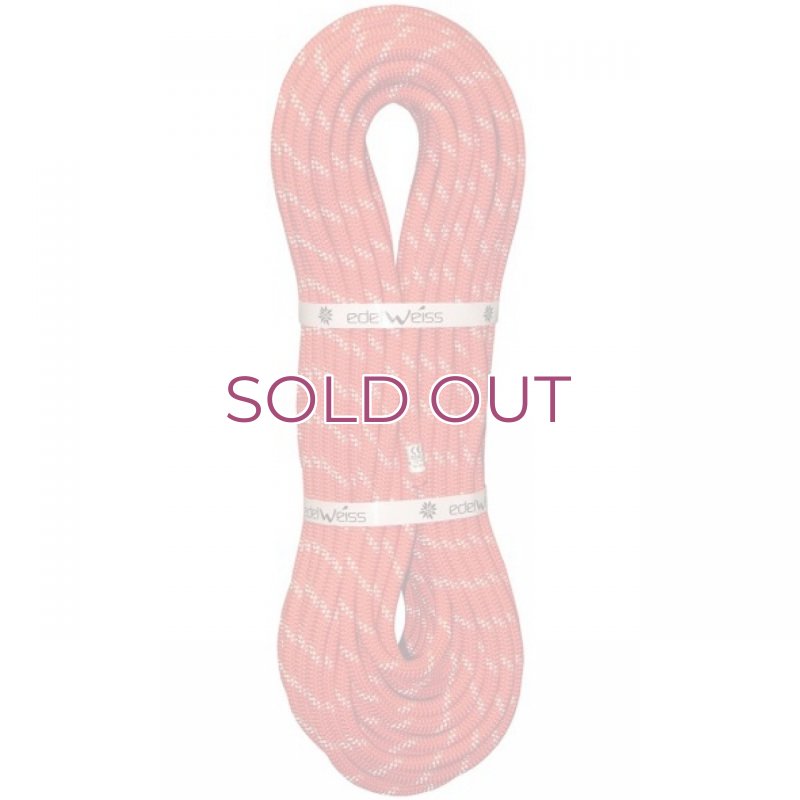 画像2: EDELWEISS Flashlight IIDRY 10ｍｍ Climbing Rope  エーデルワイス フラッシュライト II ドライ加工 クライミング ロープ (2)