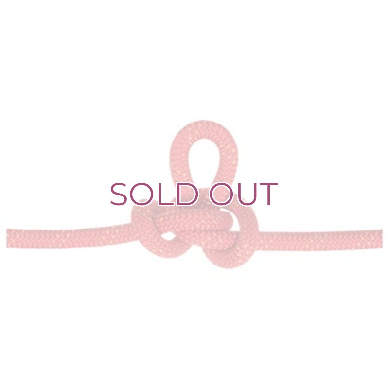 画像4: EDELWEISS Flashlight IIDRY 10ｍｍ Climbing Rope  エーデルワイス フラッシュライト II ドライ加工 クライミング ロープ (4)