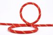 画像1: EDELWEISS Flashlight IIDRY 10ｍｍ Climbing Rope  エーデルワイス フラッシュライト II ドライ加工 クライミング ロープ (1)