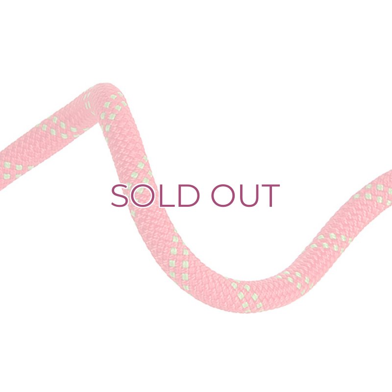 画像3: EDELWEISS Flashlight IIDRY 10ｍｍ Climbing Rope  エーデルワイス フラッシュライト II ドライ加工 クライミング ロープ (3)