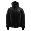 画像2: The North Face Summit Himalayan Parka Down Jacket ノースフェイス サミット ヒマラヤンパーカ ダウンジャケット 米国 アメリカ仕様 USA 日本未発売  (2)