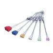 画像3: DMM Wallnuts 11Set  ウォールナッツ 11個セット (3)
