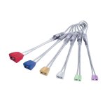 画像3: DMM Wallnuts 11Set  ウォールナッツ 11個セット (3)