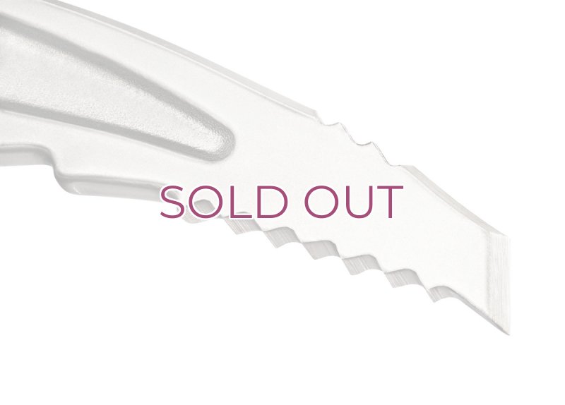 画像2: PETZL SUMMIT ICE AXE  ペツル サミット アイスアックス ピッケル 	 (2)