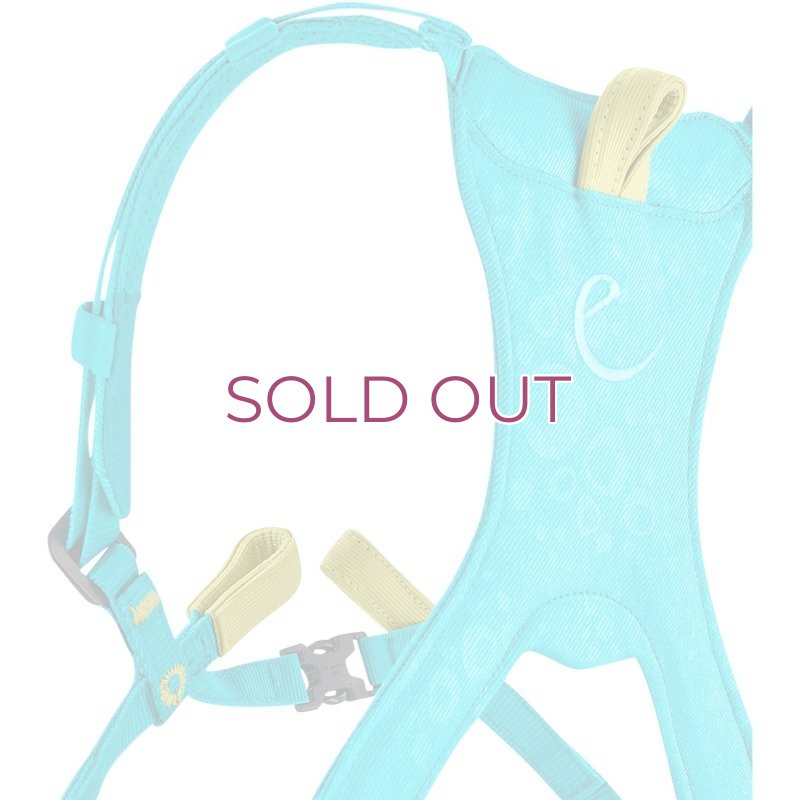 画像4: EDELRID Fraggle III  エーデルリッド フラーグルIII フルボディクライミングハーネス (4)