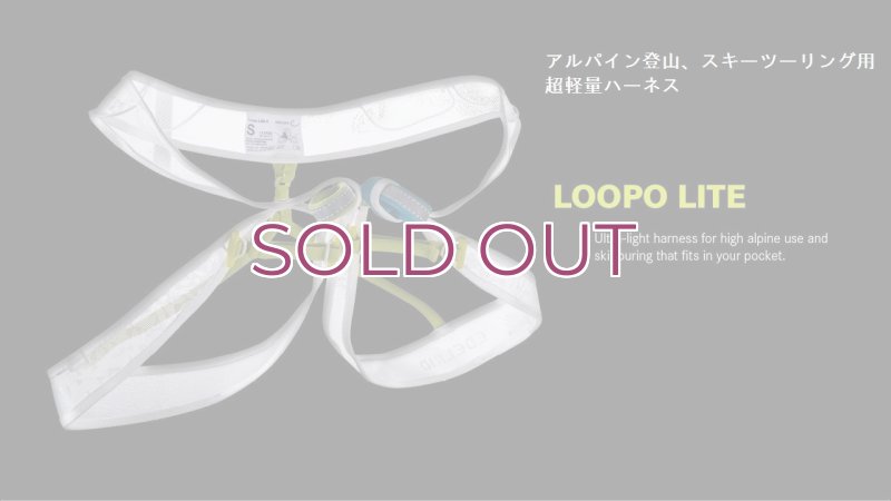 画像3: EDELRID Loopo Lite  エーデルリッド ルーポライト ハーネス (3)
