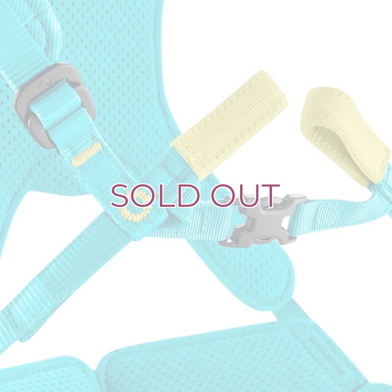 画像3: EDELRID Fraggle III  エーデルリッド フラーグルIII フルボディクライミングハーネス (3)