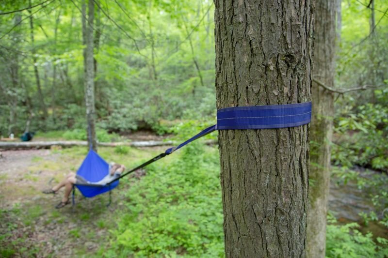 ※使用参考画像