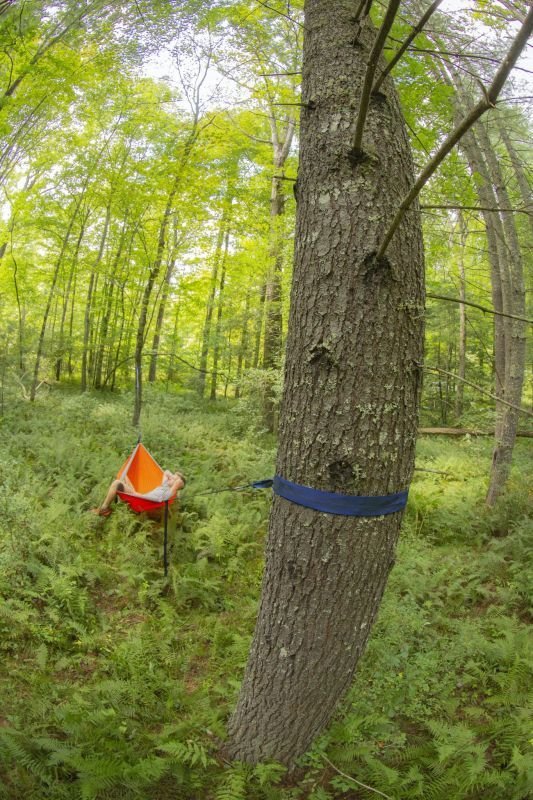 ※使用参考画像