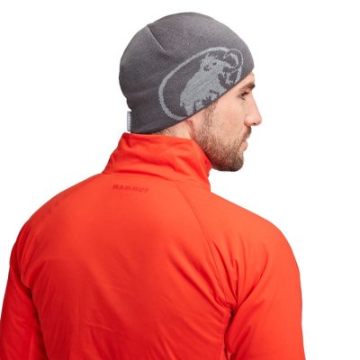 画像2: Mammut Tweak Beanie Climbing Bouldering Outdoor Cap マムート トゥイーク ビーニー  帽子