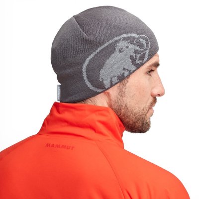 画像3: Mammut Tweak Beanie Climbing Bouldering Outdoor Cap マムート トゥイーク ビーニー  帽子