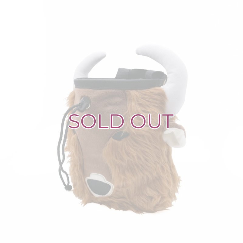 画像2: YY Vertical Bison Chalk Bag  ワイワイバーチカル バイソン チョークバッグ (2)