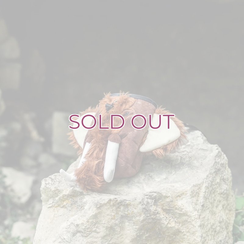 画像2: YY Vertical Mammoth Chalk Bag  ワイワイバーチカル マンモス チョークバッグ (2)