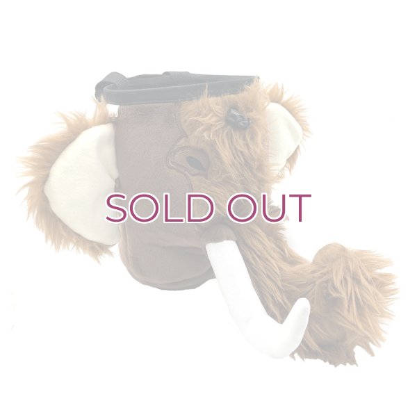 画像1: YY Vertical Mammoth Chalk Bag  ワイワイバーチカル マンモス チョークバッグ (1)