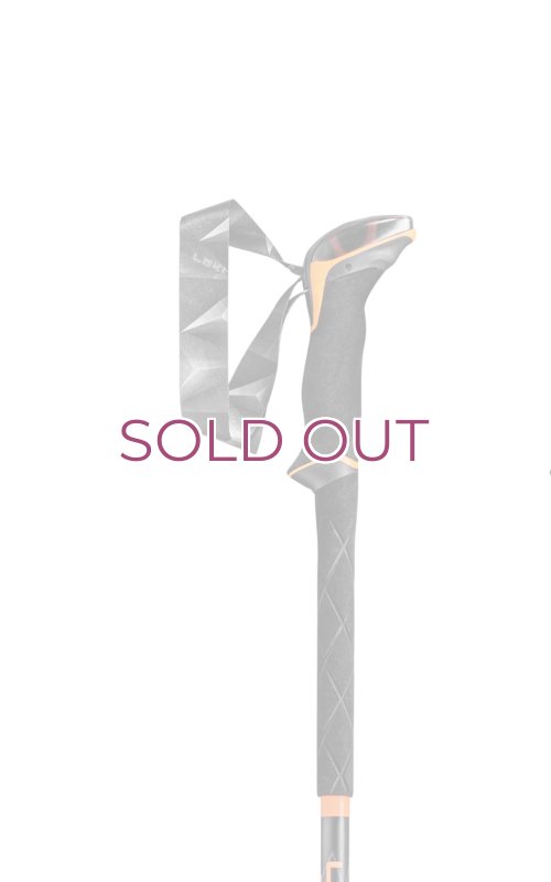 画像2: LEKI Sherpa Lite Trekking Pole SPD2+     レキ シェルパ トレッキング ポール スピードロック２プラス サーモグリップ  (2)