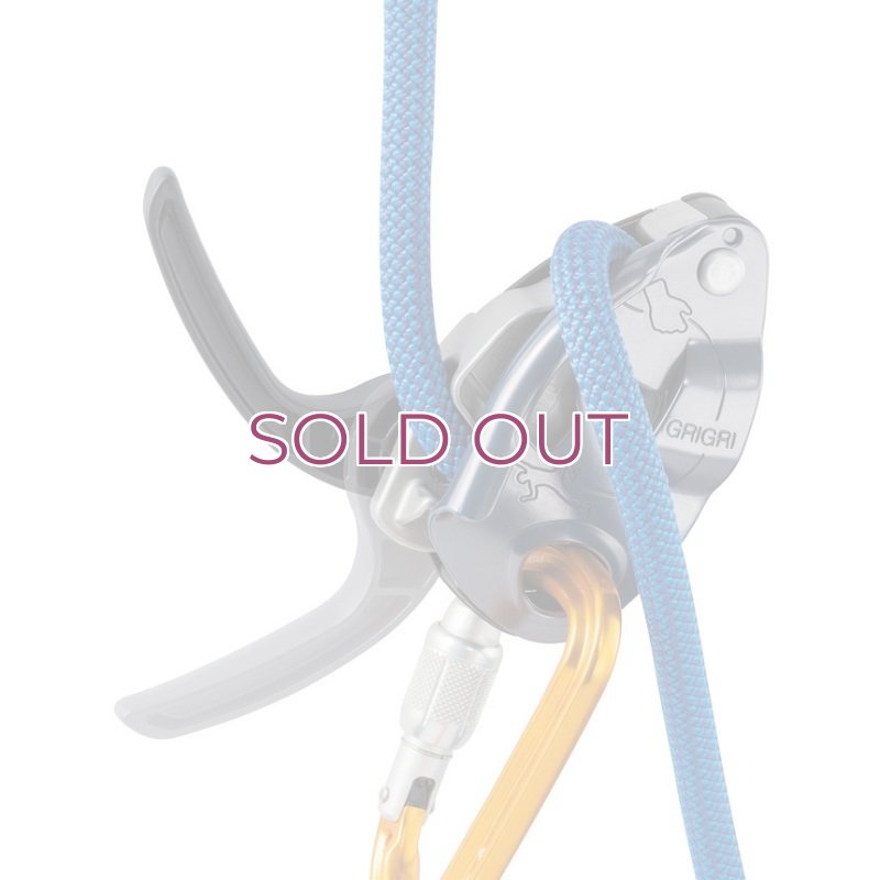 画像7: Petzl GRIGRI Self Braking Belay Device D014BA ペツル グリグリ   (7)