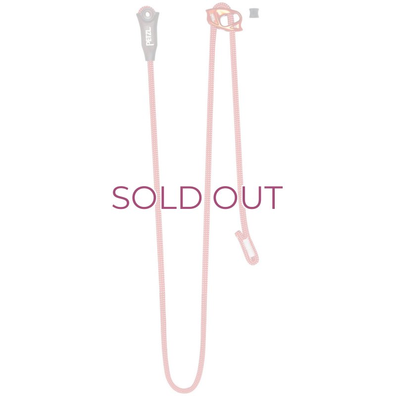 画像1: PETZL DUAL CONNECT VARIO L087AA00    ペツル デュアル コネクトバリオ (1)