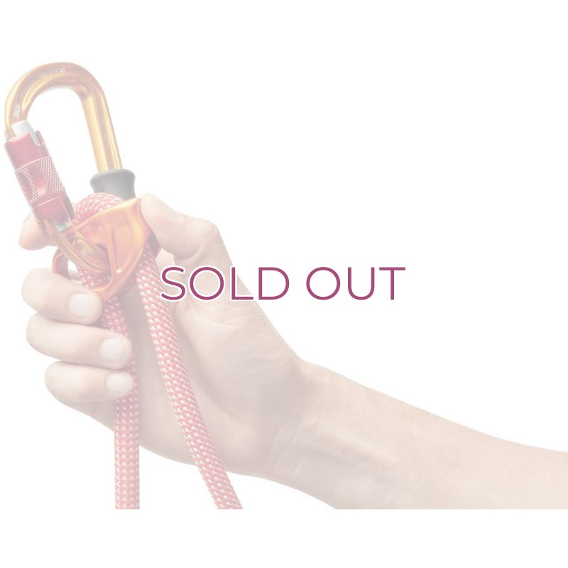 画像2: PETZL DUAL CONNECT VARIO L087AA00    ペツル デュアル コネクトバリオ (2)