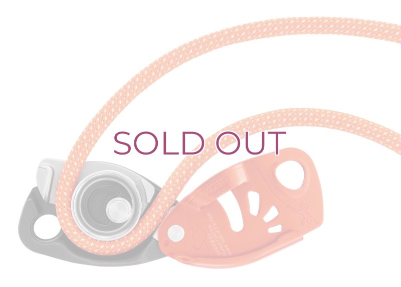 画像5: Petzl Neox Self Braking Belay Device D016AA ペツル ネオックス   (5)