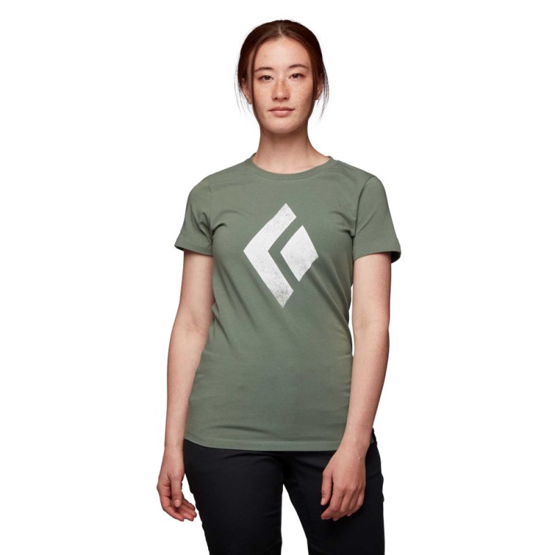 画像7: Black Diamond Women's Chalked Up SS Tee ブラックダイヤモンド チョークアップ TEE 女性用 Ｔシャツ (7)
