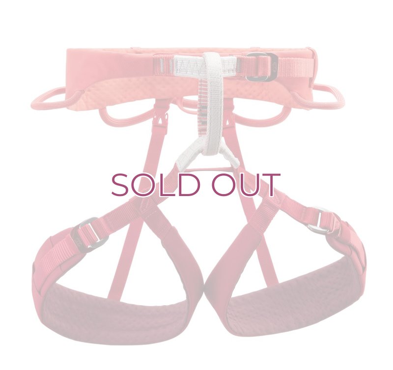 画像1: PETZL LUNA Climbing Harness Women's C035CA  ペツル ルナ クライミング ハーネス 女性用  (1)