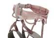画像4: PETZL SELENA Climbing Harness Women's  C055CA ペツル セレナ クライミング ハーネス 女性用  (4)