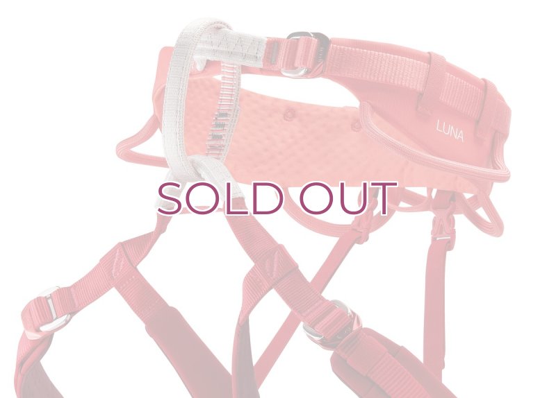 画像4: PETZL LUNA Climbing Harness Women's C035CA  ペツル ルナ クライミング ハーネス 女性用  (4)