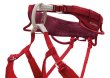 画像4: PETZL ADJAMA Climbing Harness Men's  C022CA  ペツル アジャマ クライミング ハーネス 男性用 (4)
