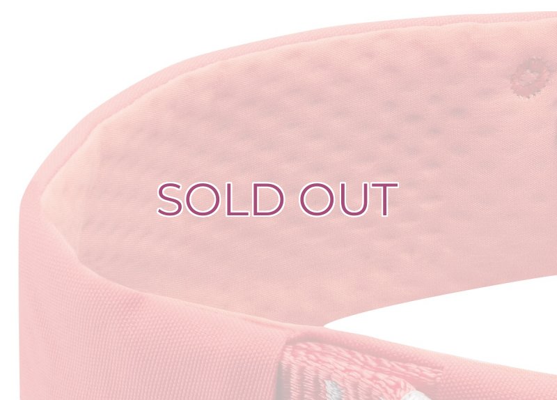 画像3: PETZL LUNA Climbing Harness Women's C035CA  ペツル ルナ クライミング ハーネス 女性用  (3)