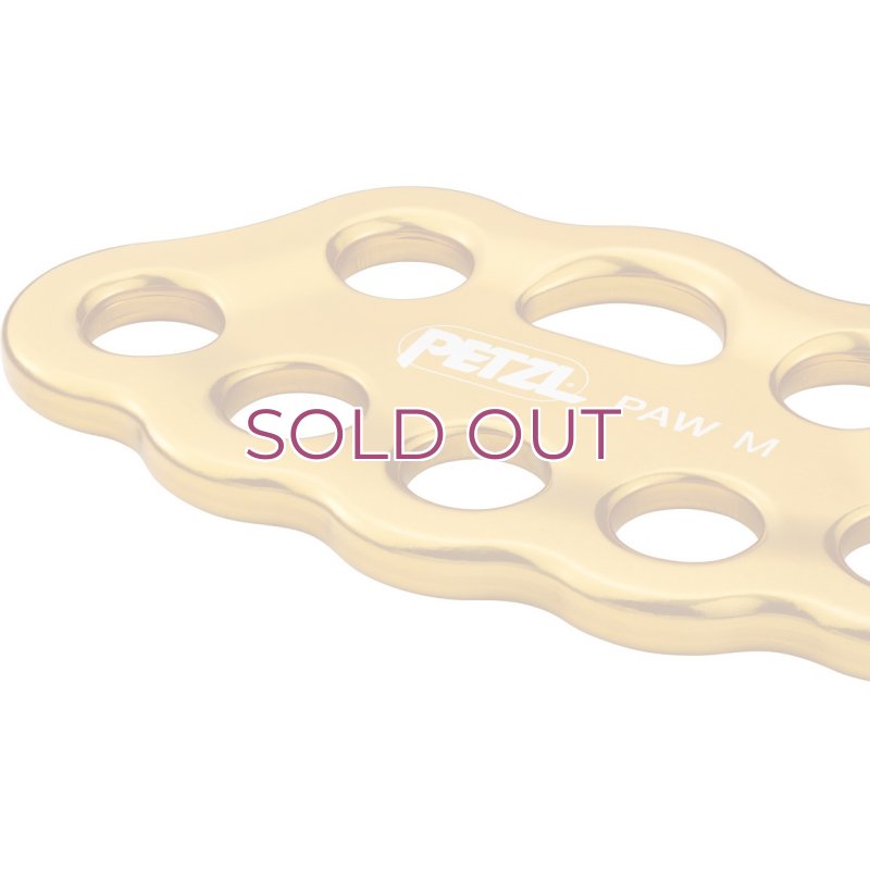 画像2: PETZL Paw M Rigging Plate  ペツル ポー Ｍサイズ リギングプレート (2)
