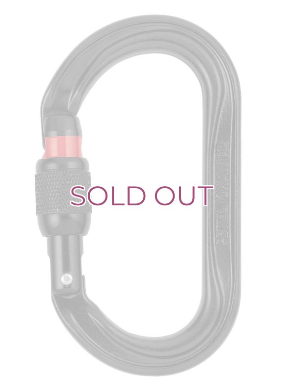 画像1: PETZL OXAN Carabineer Screw Lock Professional  M72A SLN ペツル オグザン ロッキング カラビナ スクリューロック ブラック プロフェッショナル Black (1)
