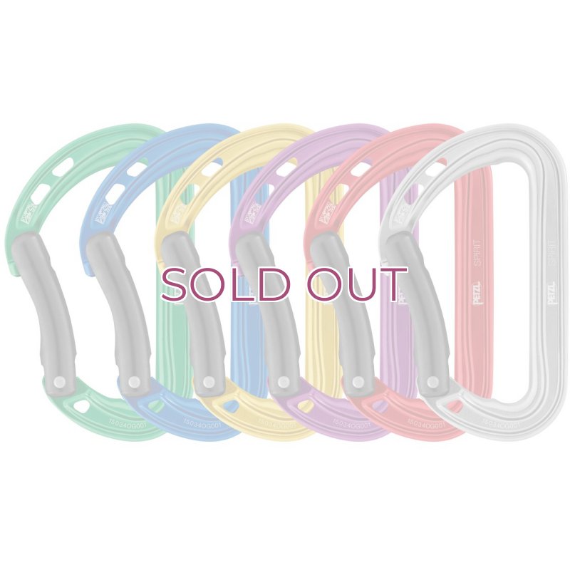 画像1: PETZL SPIRIT 6 Pack 3D CARABINER M061AB01  ペツル スピリット カラビナ 6個パック (1)