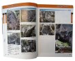 画像3: BOULDERING GUIDE Swiss Bloc °1 Switzerland Guidebook 2013 ボルダリング ガイドブック スイス ブロッコ1 クライミング 海外トポ 2013年版 (3)
