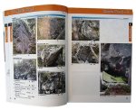 画像3: BOULDERING GUIDE Swiss Bloc °1 Switzerland Guidebook 2013 ボルダリング ガイドブック スイス ブロッコ1 クライミング 海外トポ 2013年版 (3)