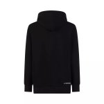 画像2: La Sportiva Logo Hoody Mens スポルティバ ロゴ フーディー 男性用  (2)