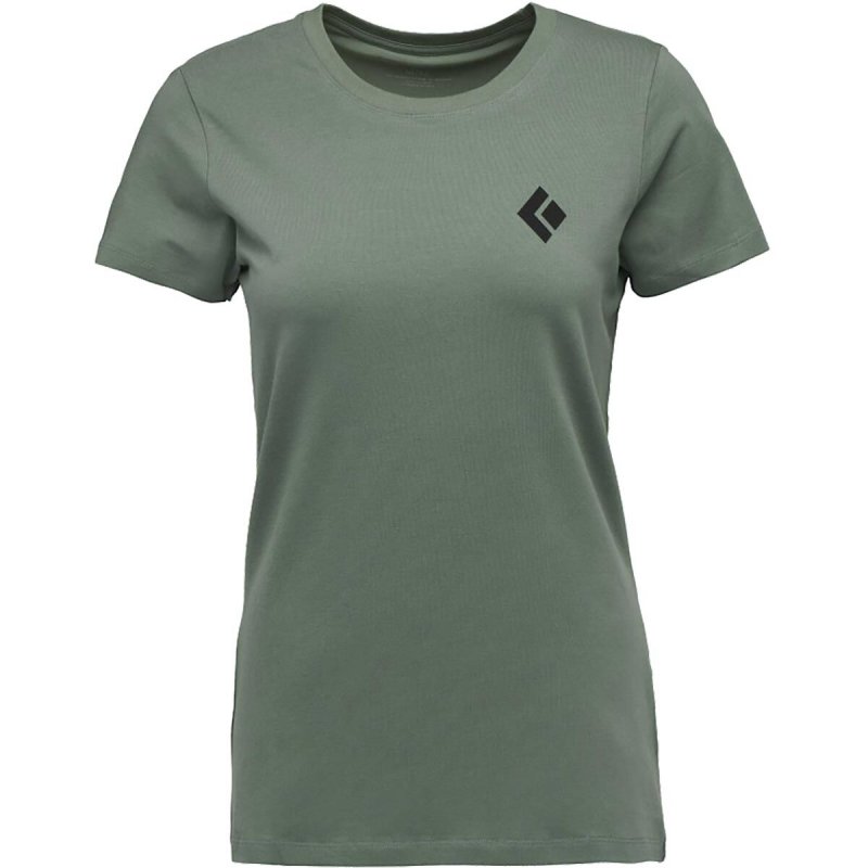 画像6: Black Diamond Women's Equipment for Alpinists Tee ブラックダイヤモンドアルピニスト  TEE 女性用 Ｔシャツ (6)