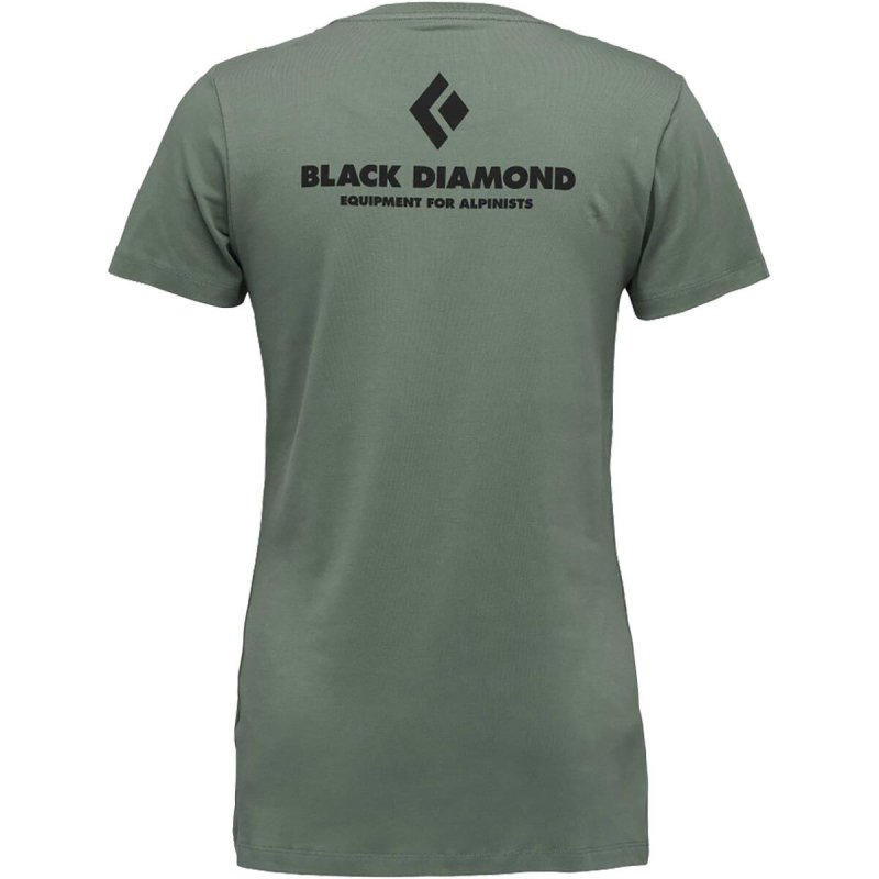 画像5: Black Diamond Women's Equipment for Alpinists Tee ブラックダイヤモンドアルピニスト  TEE 女性用 Ｔシャツ (5)