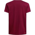 画像4: La Sportiva Ape T-Shirts Mens スポルティバ エイプ Ｔシャツ 男性用  (4)