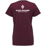 画像1: Black Diamond Women's Equipment for Alpinists Tee ブラックダイヤモンドアルピニスト  TEE 女性用 Ｔシャツ (1)